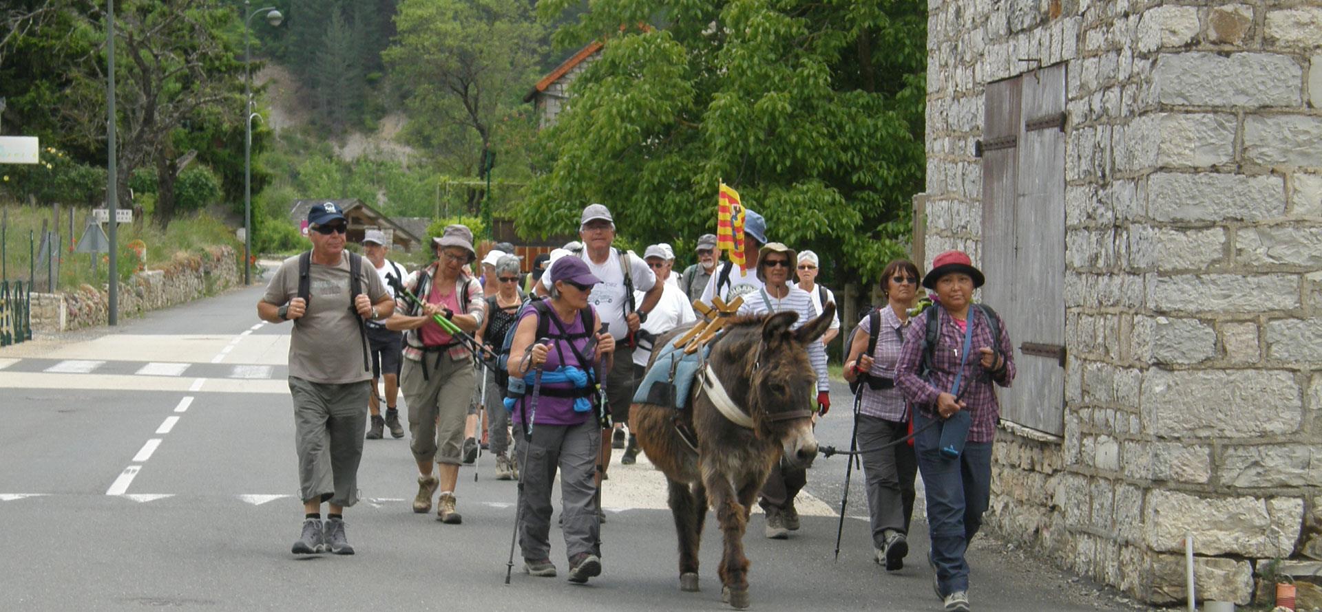 Randonnée à cheval : aire naturelle Gorge du Tarn, camping près de Sainte-Enimie